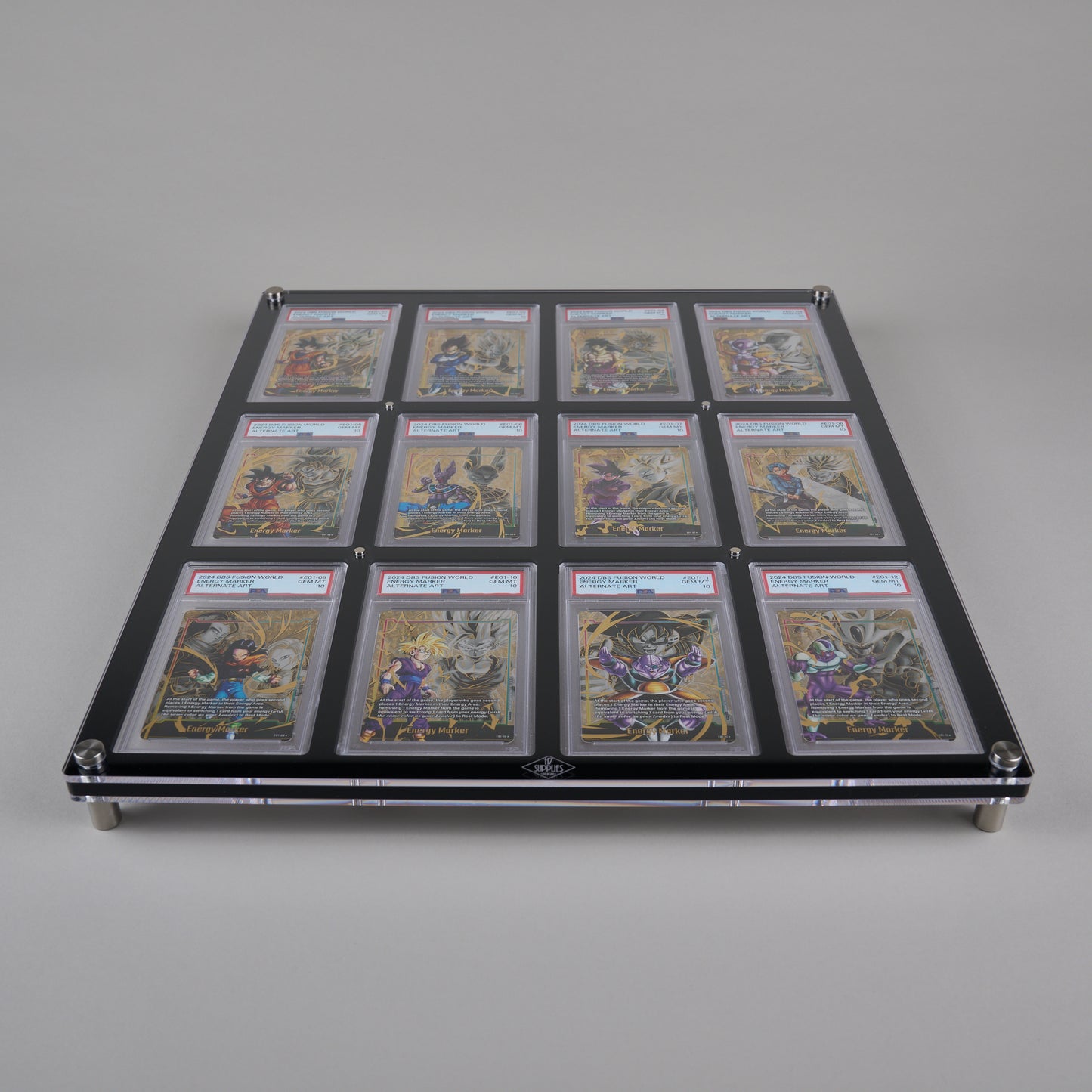 12 Slot PSA Wall Mount Display