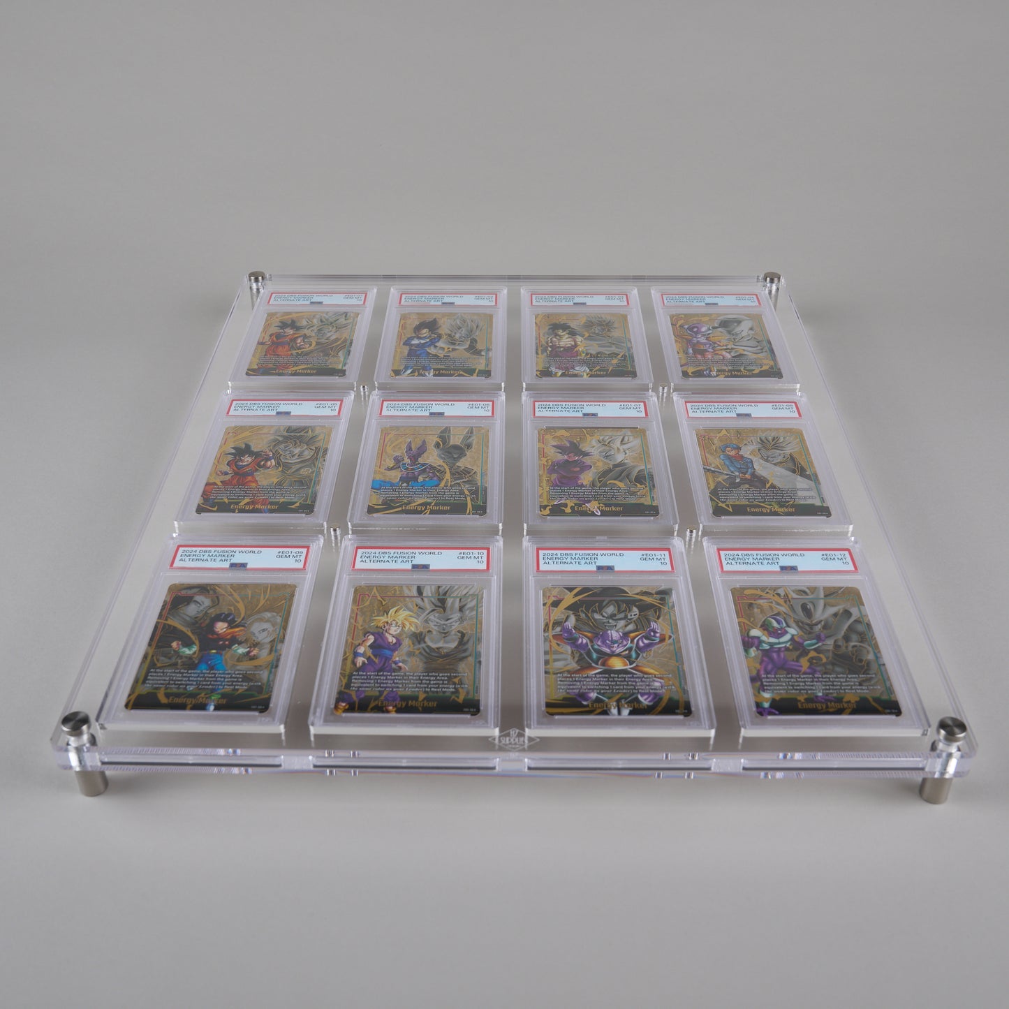 12 Slot PSA Wall Mount Display