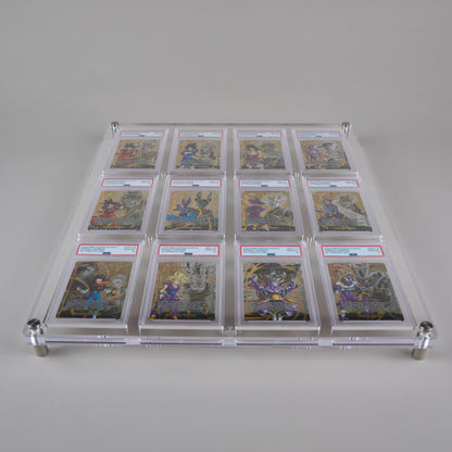12 Slot PSA Wall Mount Display
